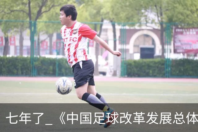 七年了 《中国足球改革发展总体方案》坚定落实了吗